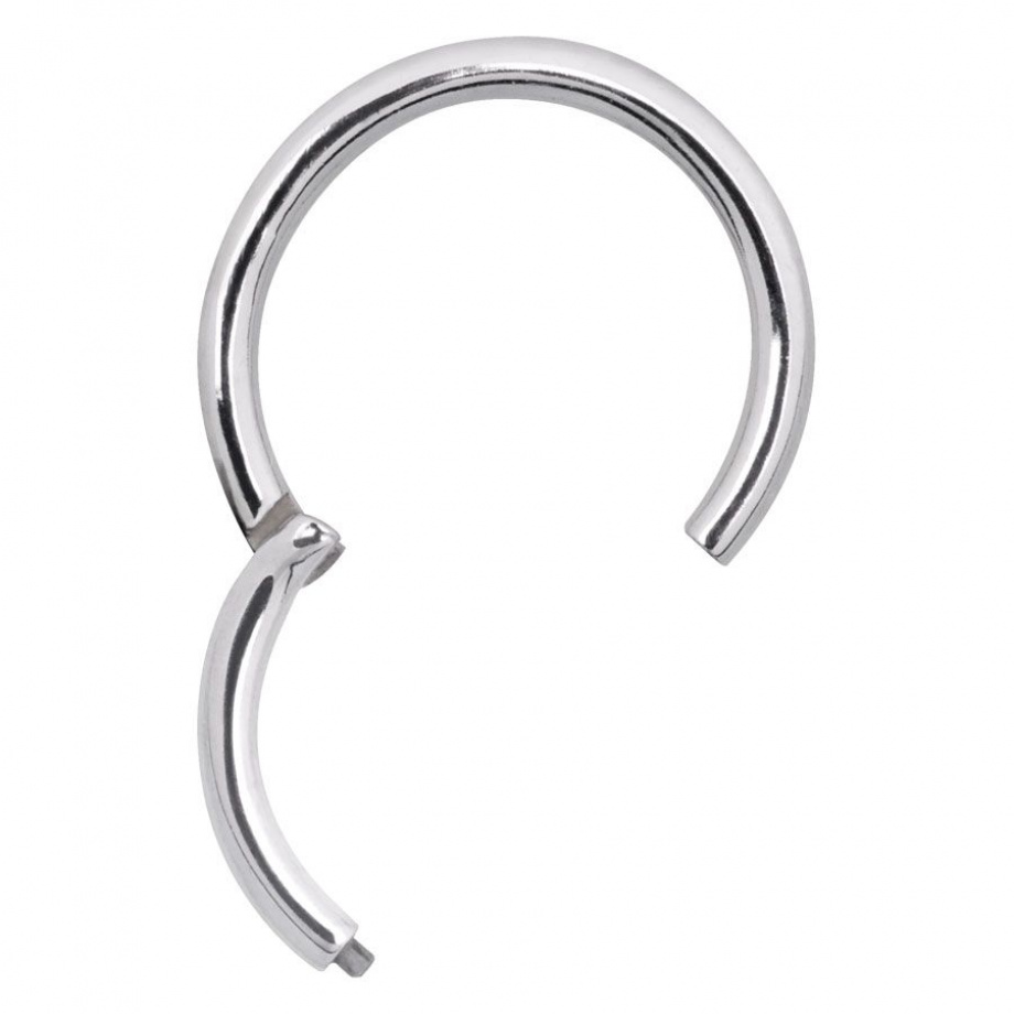silver segmentring
